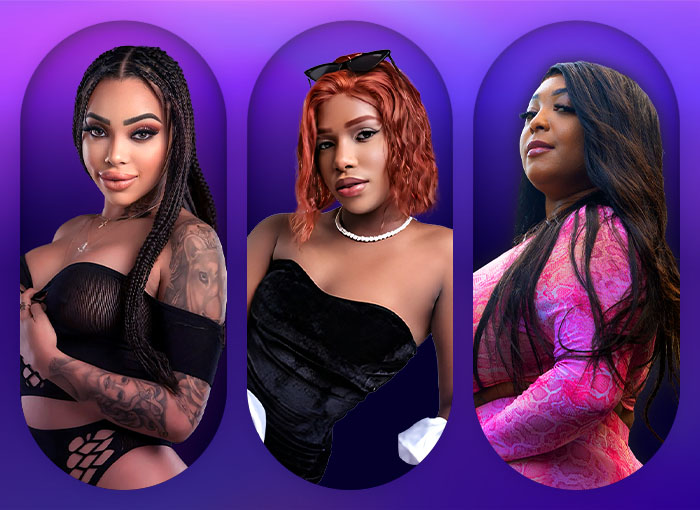 O que é uma Cam Girl Ebony?