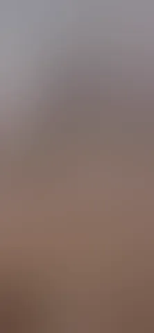 Let me let you masturbate with my tits and