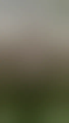 Trying out my new fuck machine