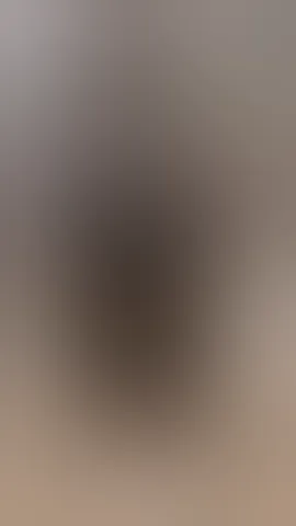ChantalHans masturbates with her favorite dildo and her lush vibrating non stop 🔥