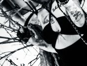 AmySpider