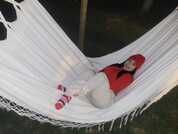 Latin_lola