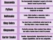Reverie_Rollick