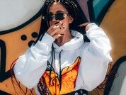 RosseFoxx