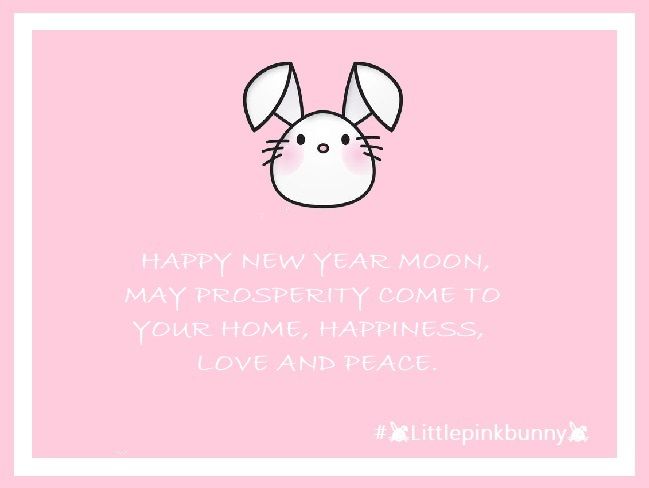 LittlePinkBunnny
