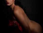 Novacy_korz