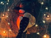 Juliiethaservas
