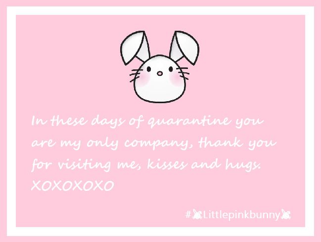 LittlePinkBunnny