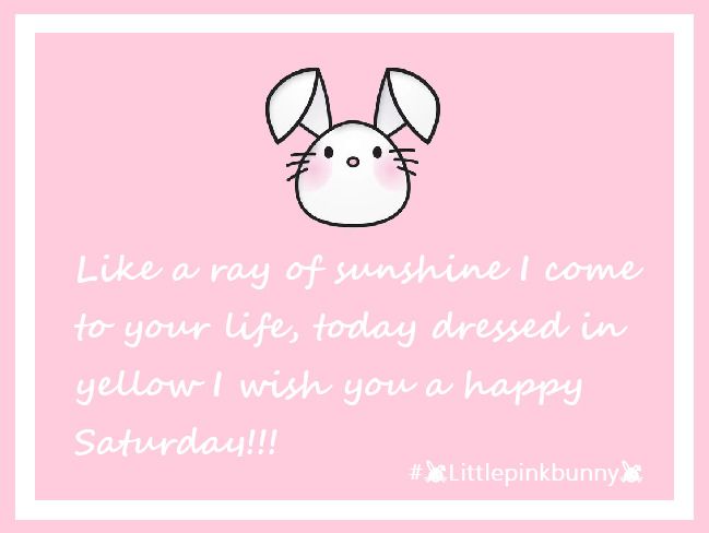 LittlePinkBunnny
