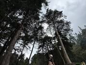 MissyMillerX
