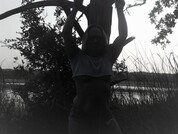 ChristineAce