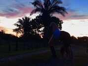 EmillyCoper