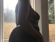 Loyalbambi