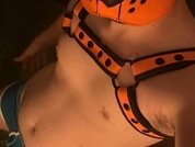 MattyMcF1y