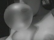 Sassyhyde