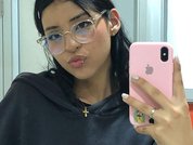 Selenne_schmittLm