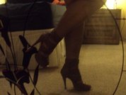 Shellyfox