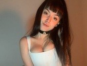 dovesdiary