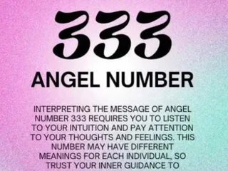 BB333