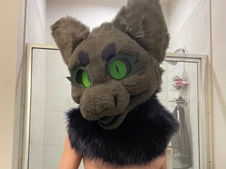 TiedMuzzled