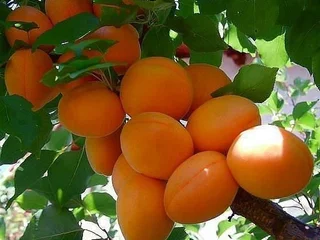 Balearicsex110 profile