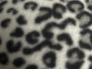 WickedWisper profile