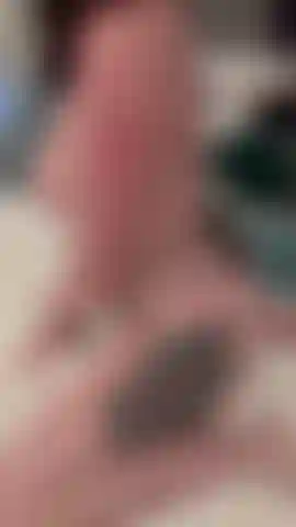 Imagine-me montando seu pau.