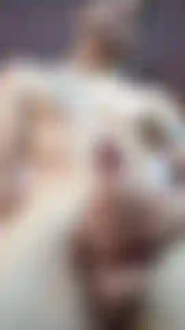 This great trunk wants, wishes to be milking