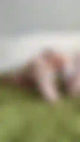 A little bit of teasing for you