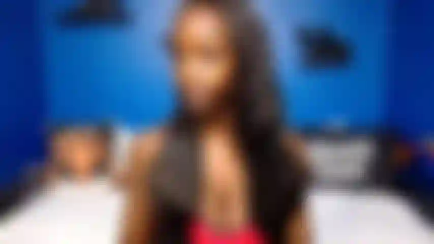 Novos brinquedos fevereiro de 2023.