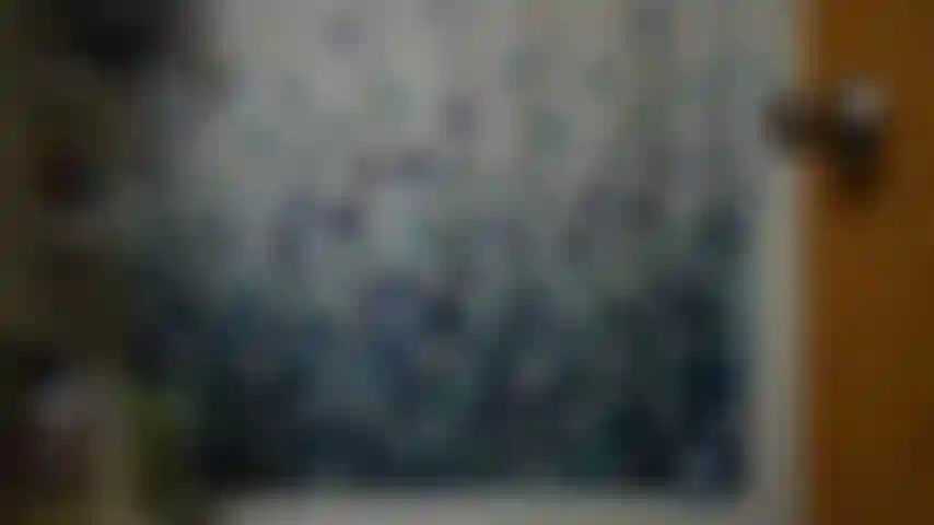 Roomie joi cum clareza.