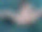 Vídeo de merda de vibrador de mardi gras. Se você gosta de máscara, peitos, miçangas e brincadeiras de buceta, esse vídeo é para você!