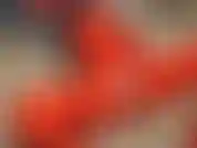 Cosplay do super-herói deadpool. Vibrador fodendo de terno.