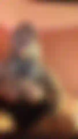 Gozo na minha boca joi.