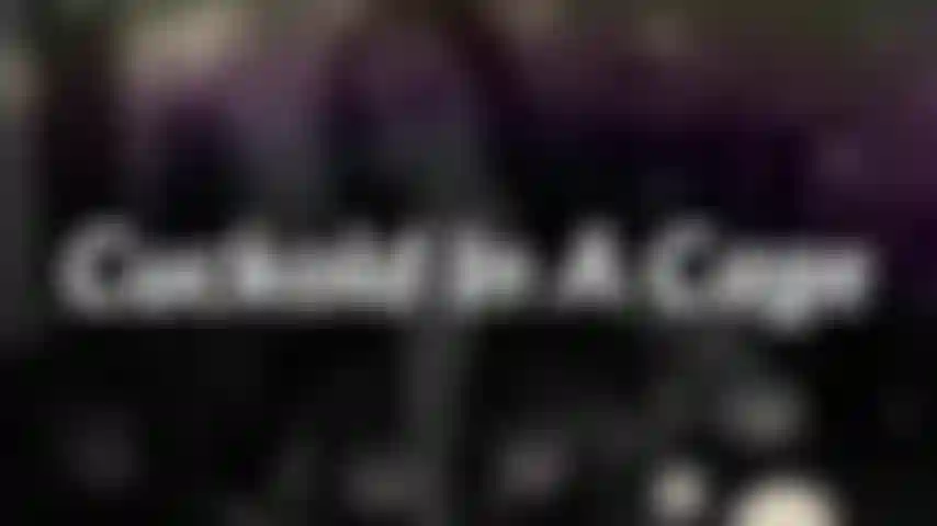 Cuckold em uma gaiola - peguei algo para você quando estava fora. Algo que eu realmente acho que vai ajudar nosso relacionamento. Surpresa! Seu pau em uma gaiola!