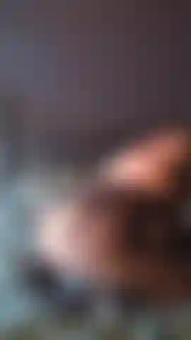 Provocadora de bunda.