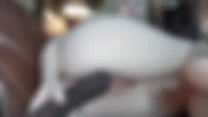 Monster toy foda (raro para mim), pegue toda a circunferência.