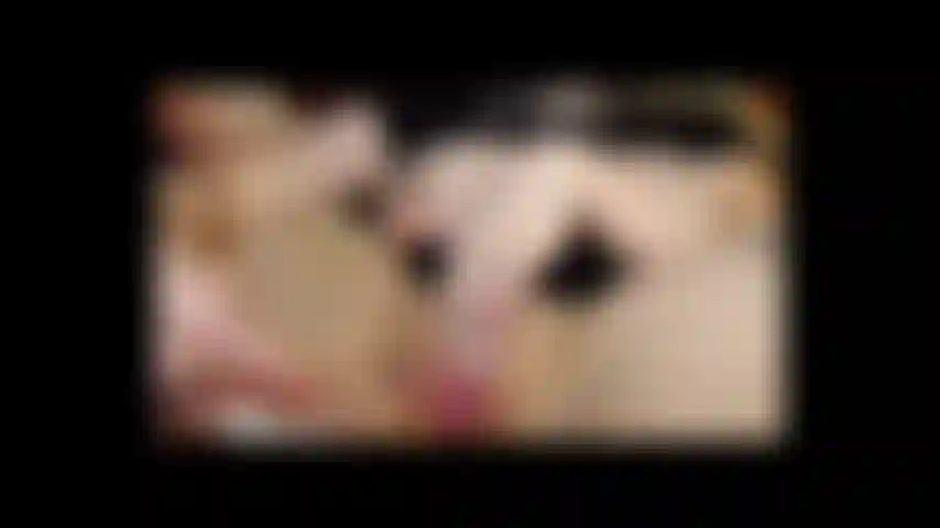 Cum soprado na buceta clipe de vídeo mais longo.