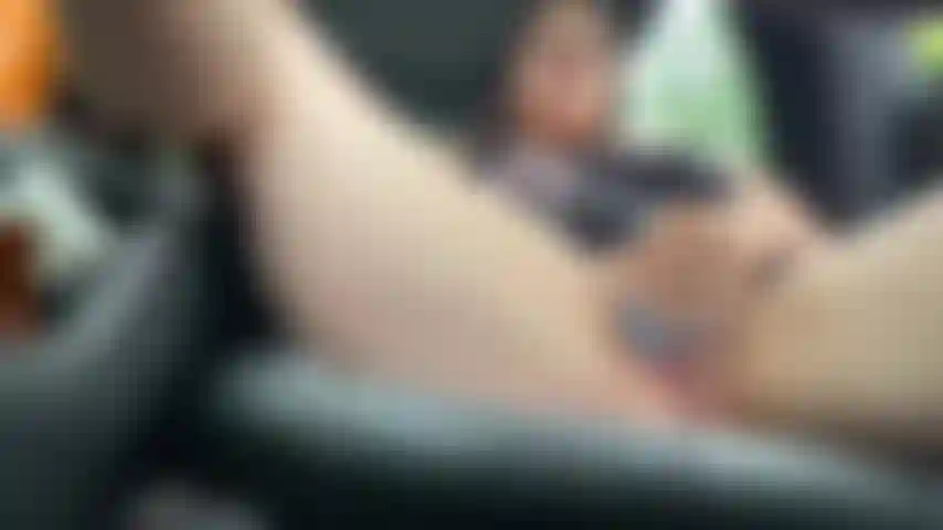 Jogo de carro do parque estadual sativa.