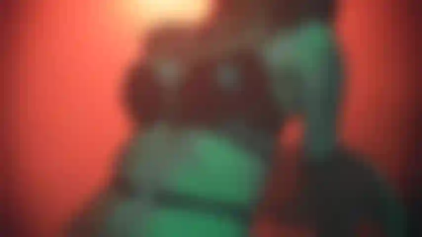 Lingerie de couro e mulher sexy.