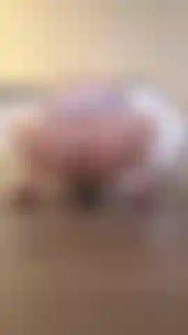 Cavalgando meu dildo usando meu suéter virgin killer. Minha buceta tão apertada meu deus.