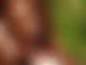 Vamos brincar um pouco na floresta.