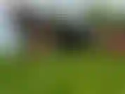 Flexões vs agachamentos.