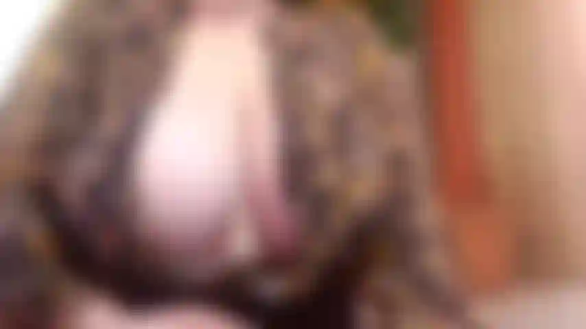 Cowgirl reversa e bj 4 "papai" pov babando em todo o seu pau gordo e depois enfiando-o dentro da minha bucetinha e vendo minha bunda balançar enquanto eu pego tudo!