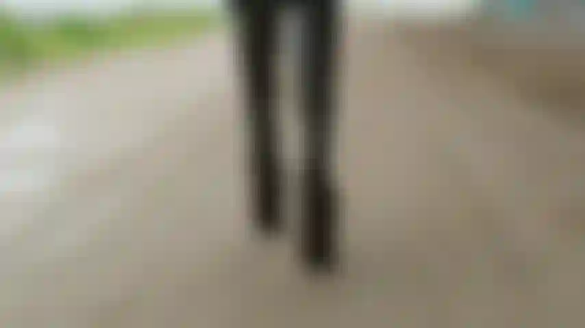 Gostaria de dar um passeio?