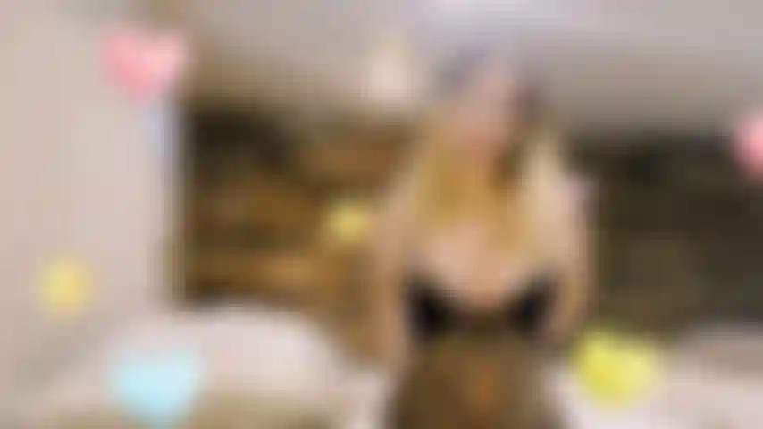 Pronta para ser criticada pelo meu alfa.