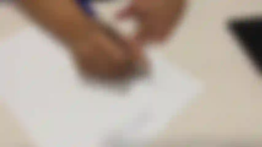 Sua professora de pornografia.