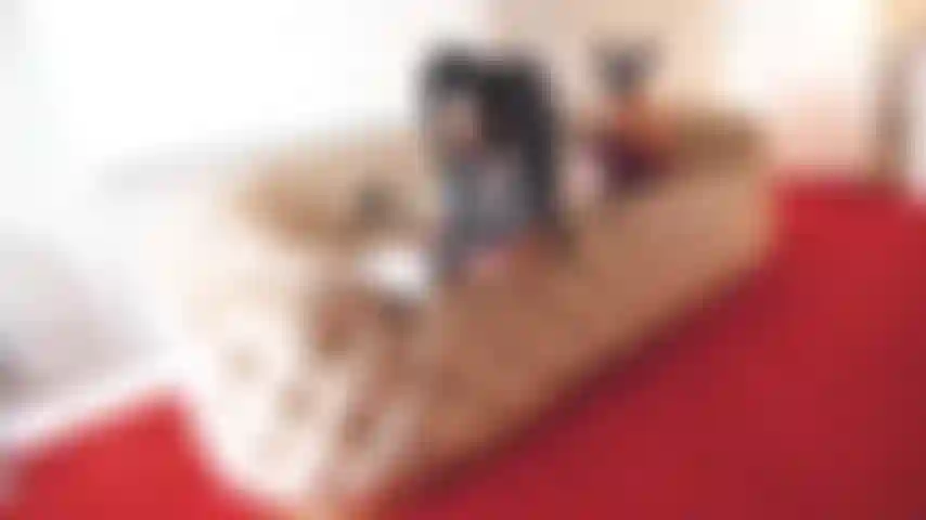 Tempo de menina da escola, talvez seja a sua fantasia!