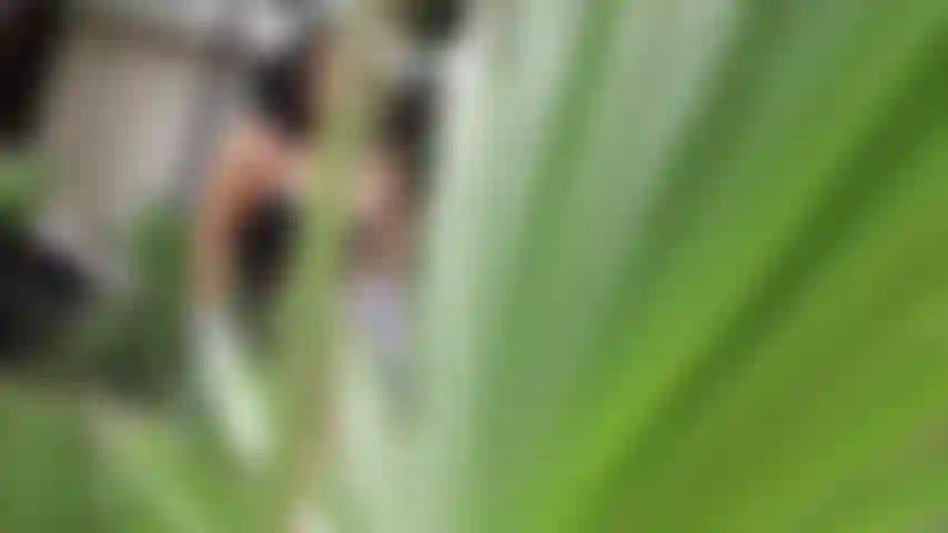 O verão é o momento perfeito para um corpo bronzeado!