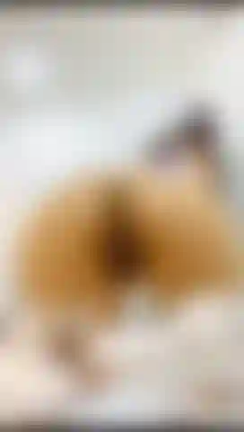 Adore minha bunda e meus pés.